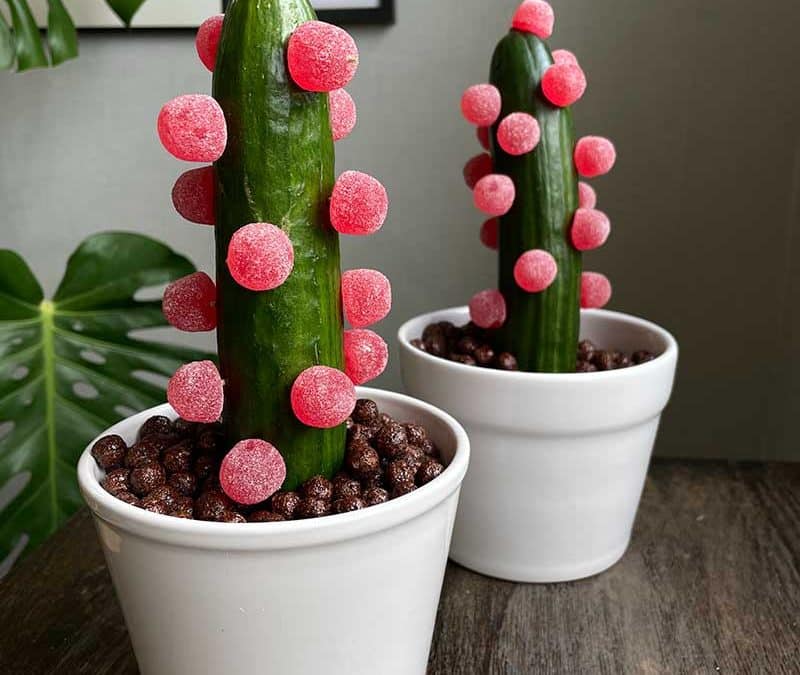 Gurkkaktus – en klassisk 80-tals present